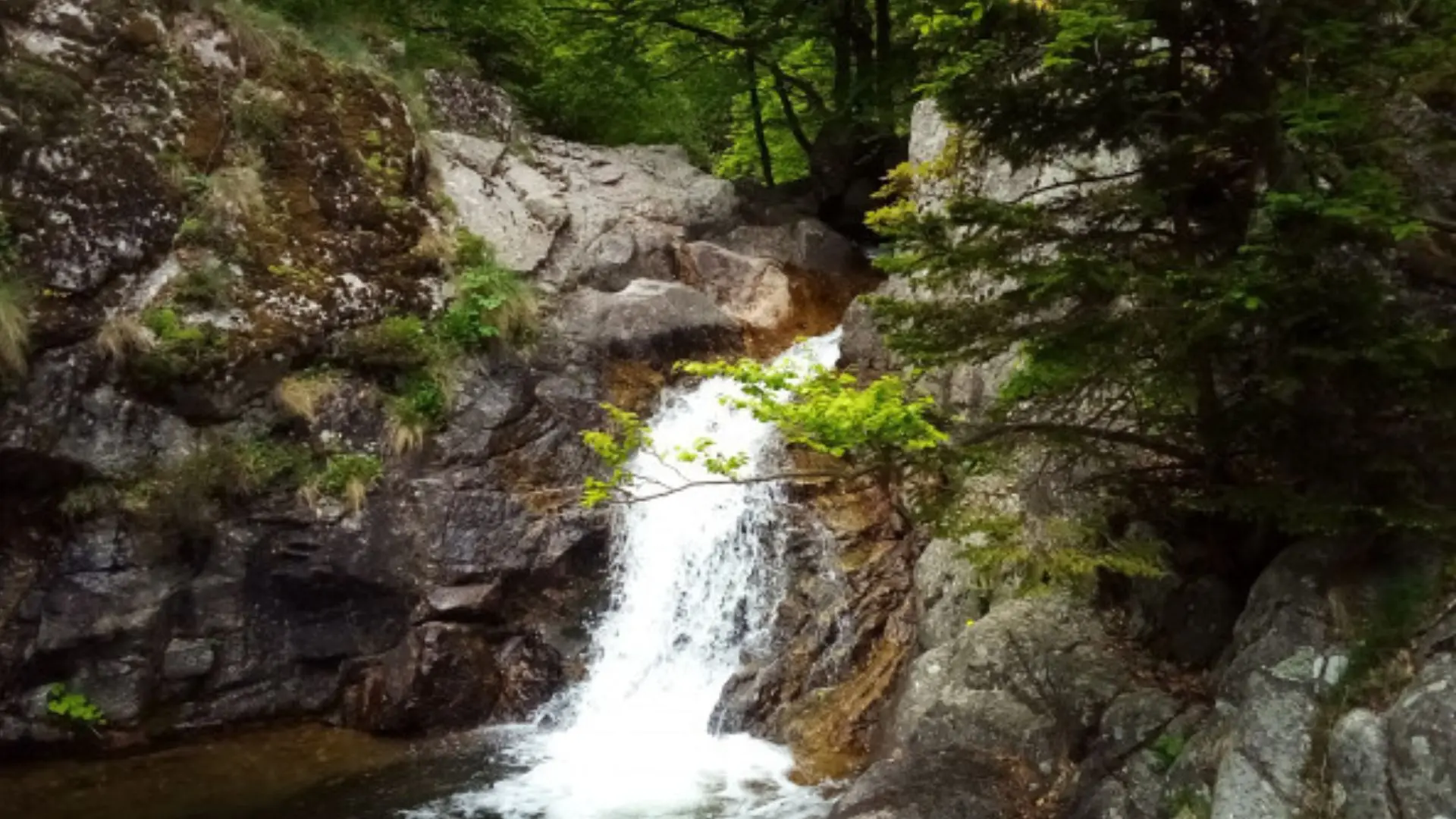 Escalade des cascades