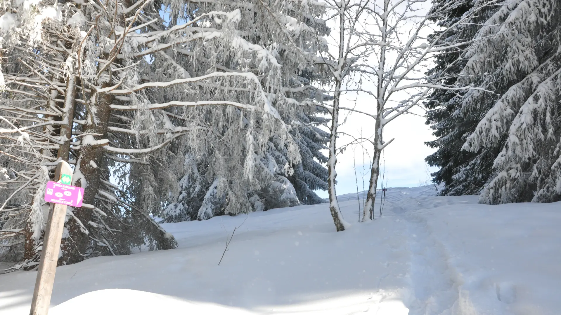 Avant de longer la piste de ski Marvel