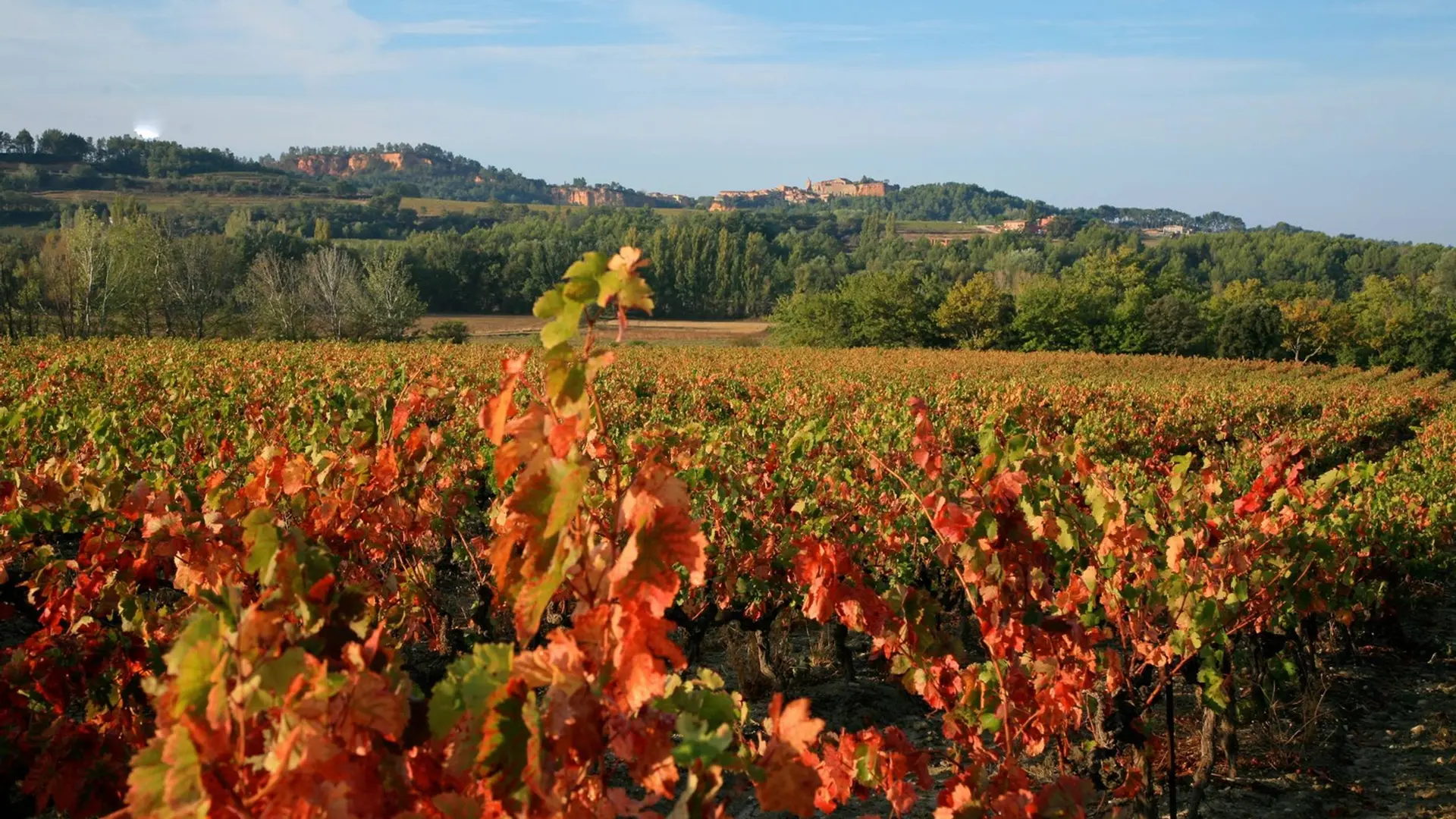 Campagne de Roussillon