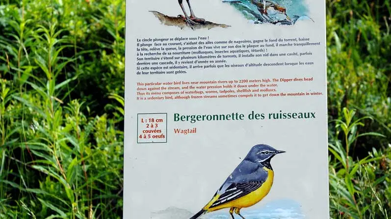 Sentier des oiseaux Châtel