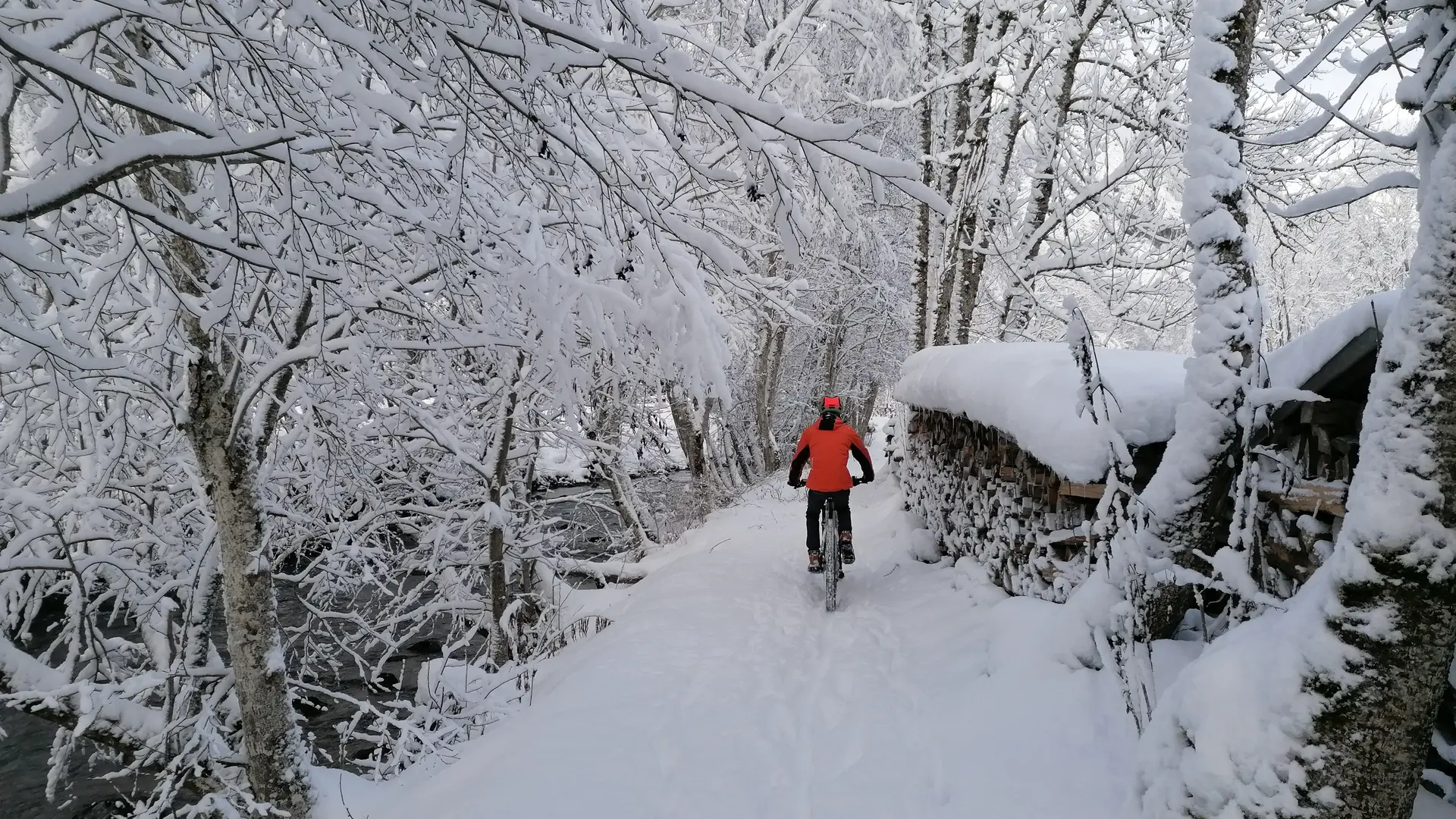 Vtt électrique avec Vélo Dranse dans les Portes du Soleil