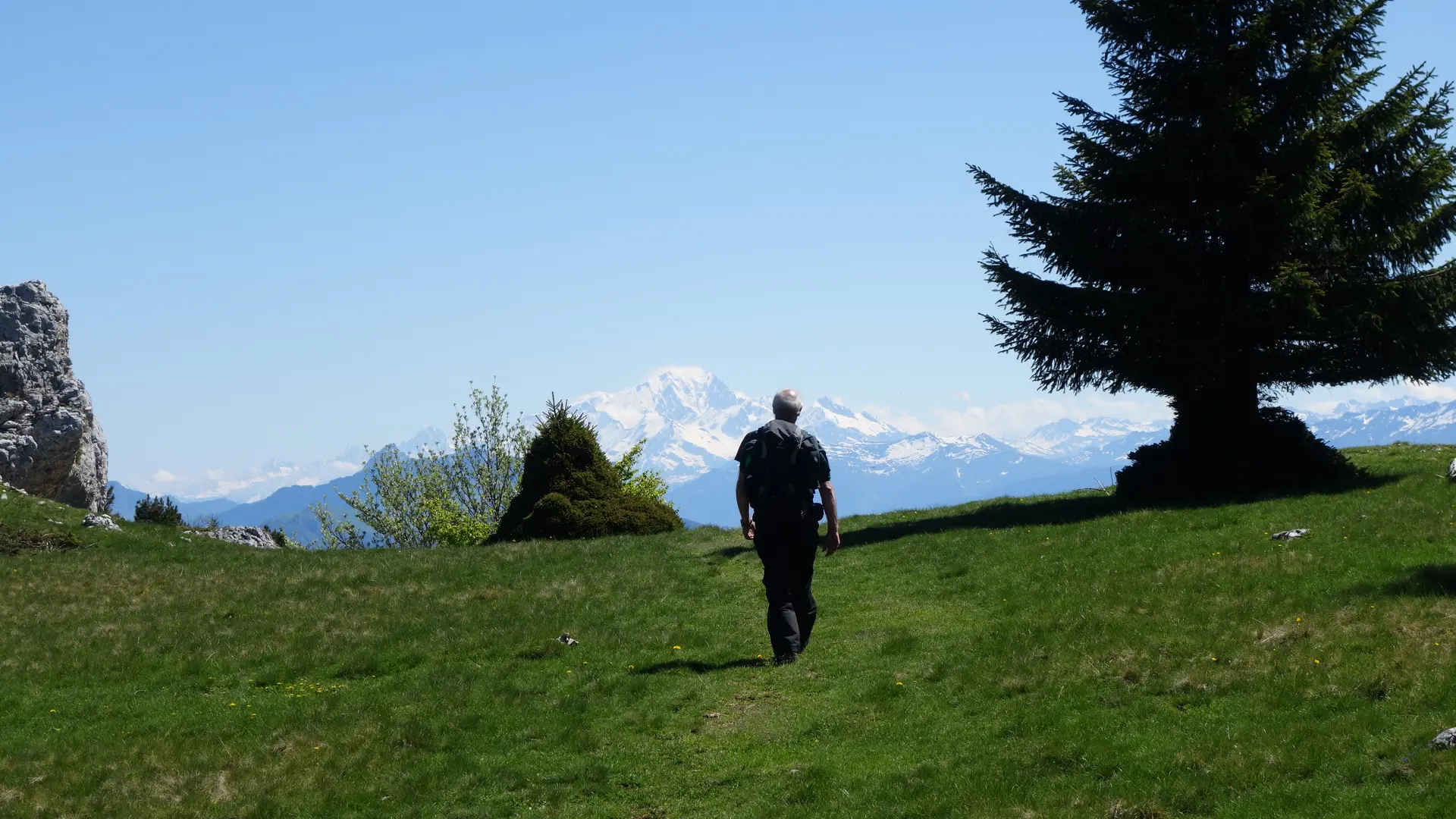 Nature et silence