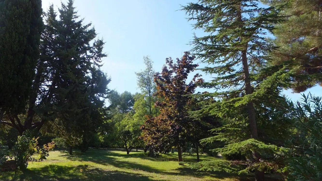 vue sur le parc