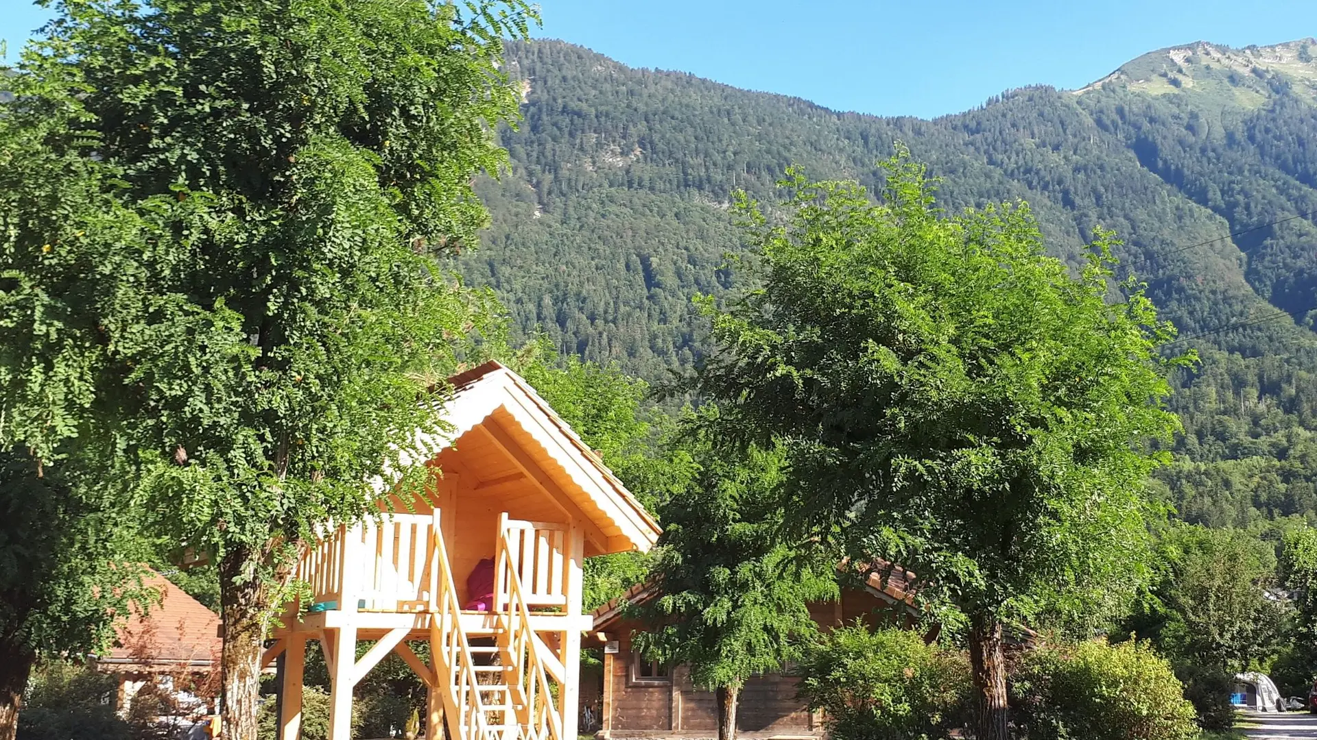 chalet entouré d'arbres