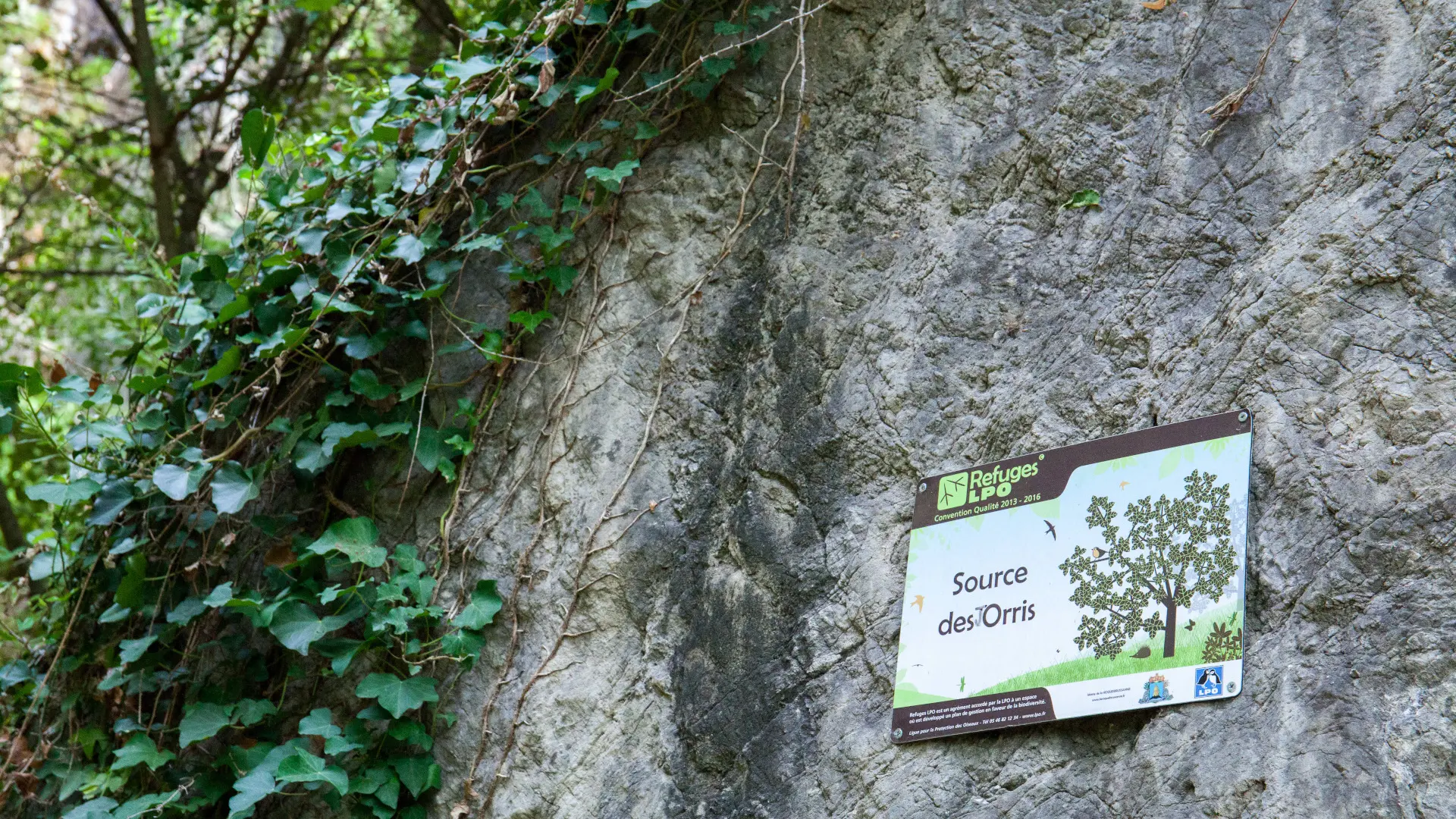 Source des Orris - La Roquebrussanne