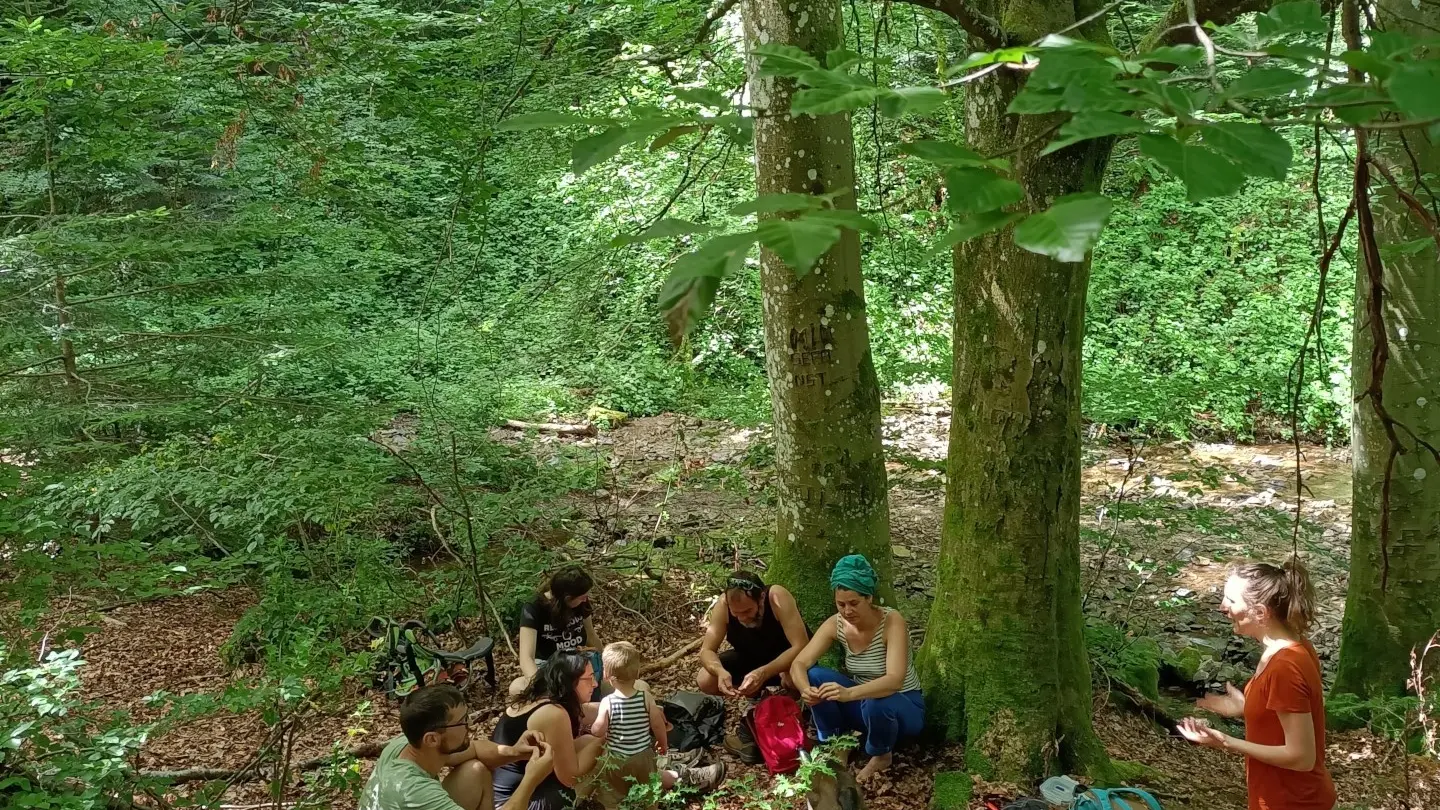 Et si c'était vrai ?, balade botanique contée