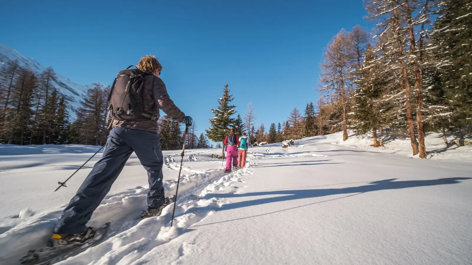 Raquettes_Evolution 2