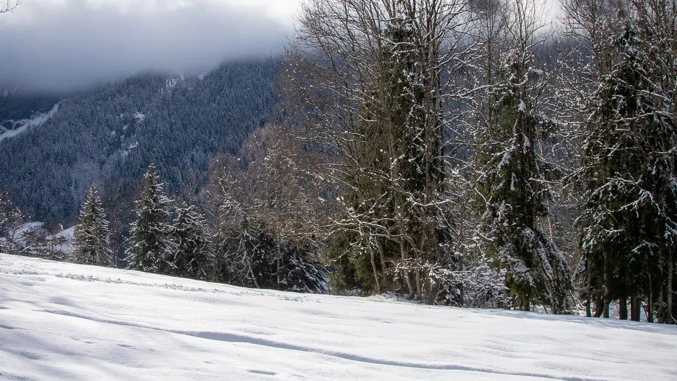 Vue sur le Mont Joly depuis une clairière enneigée