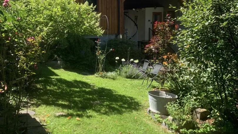 Jardin arrière