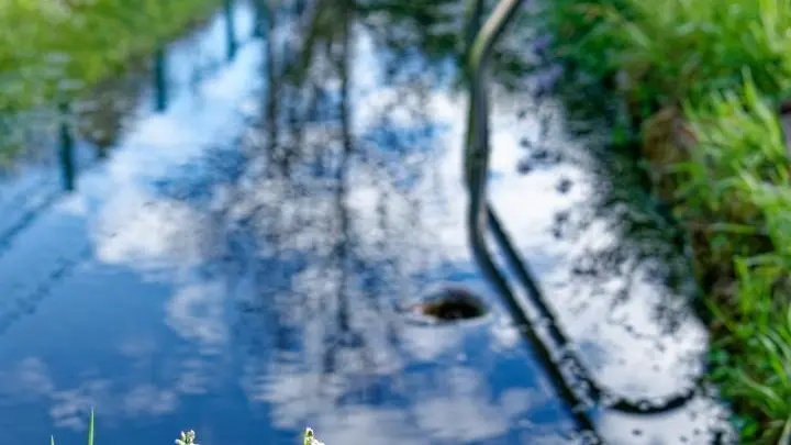 La Serve, bassin de servitude où l'eau est récupérée pour l'usage des toilettes et du jardin
©?R.MOISSONNIER