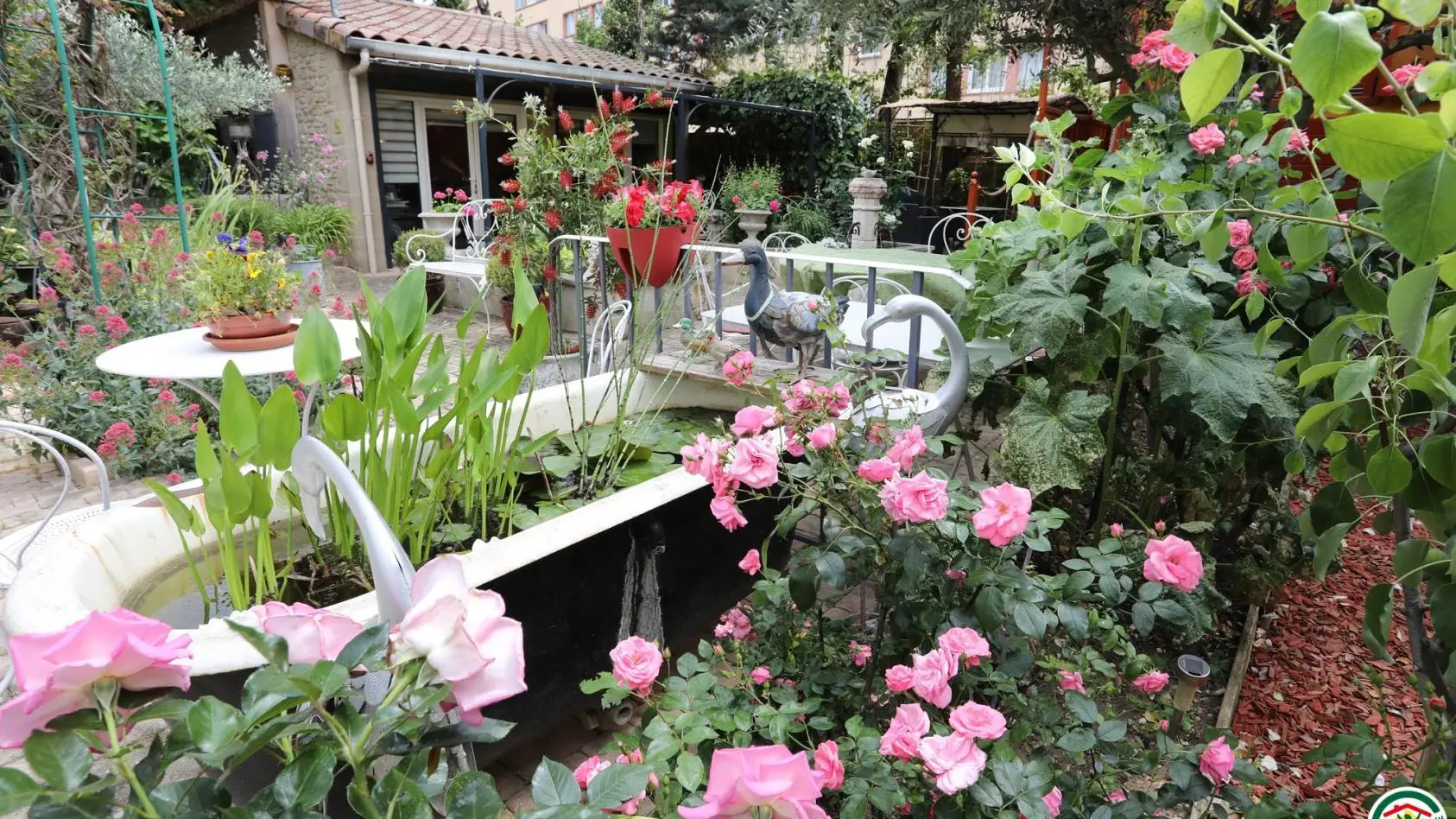 Le jardin de ville, fleuri