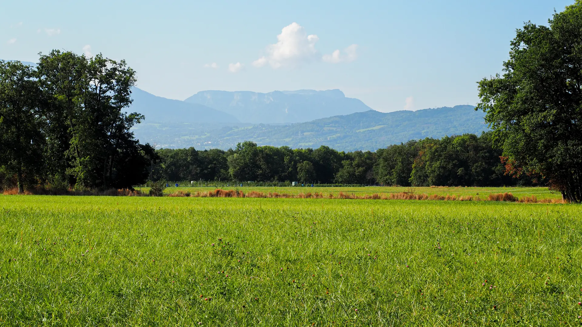 Vue sur le Parmelan