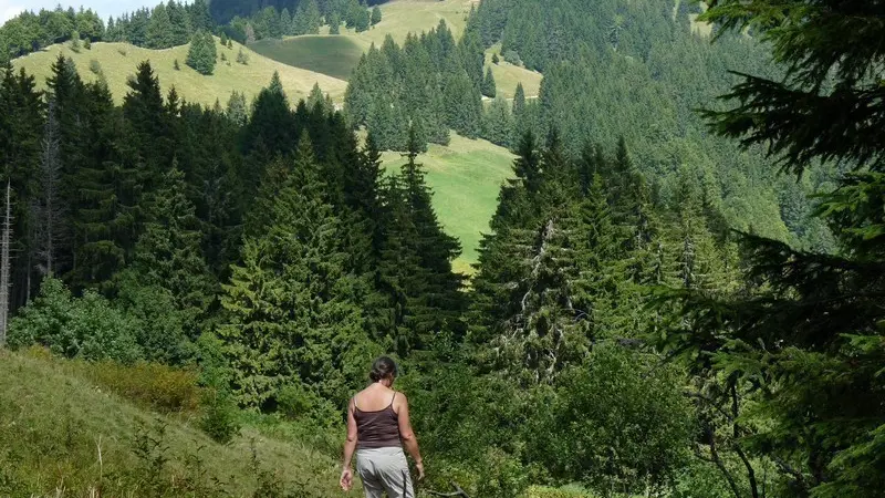 les environs  :alentours du crêt de Chalam