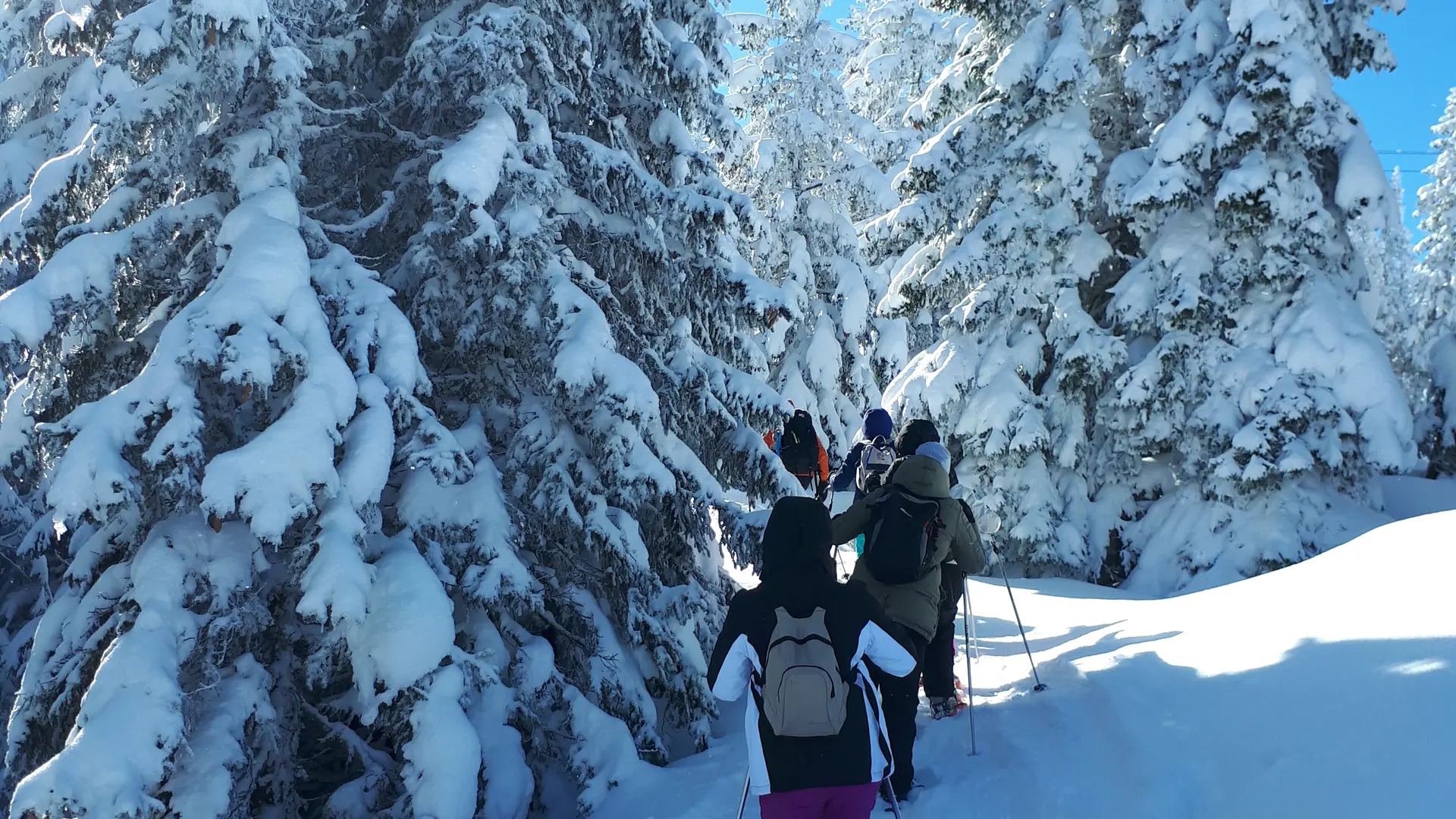 Randonnée en raquettes à neige avec Aurélien Couderc