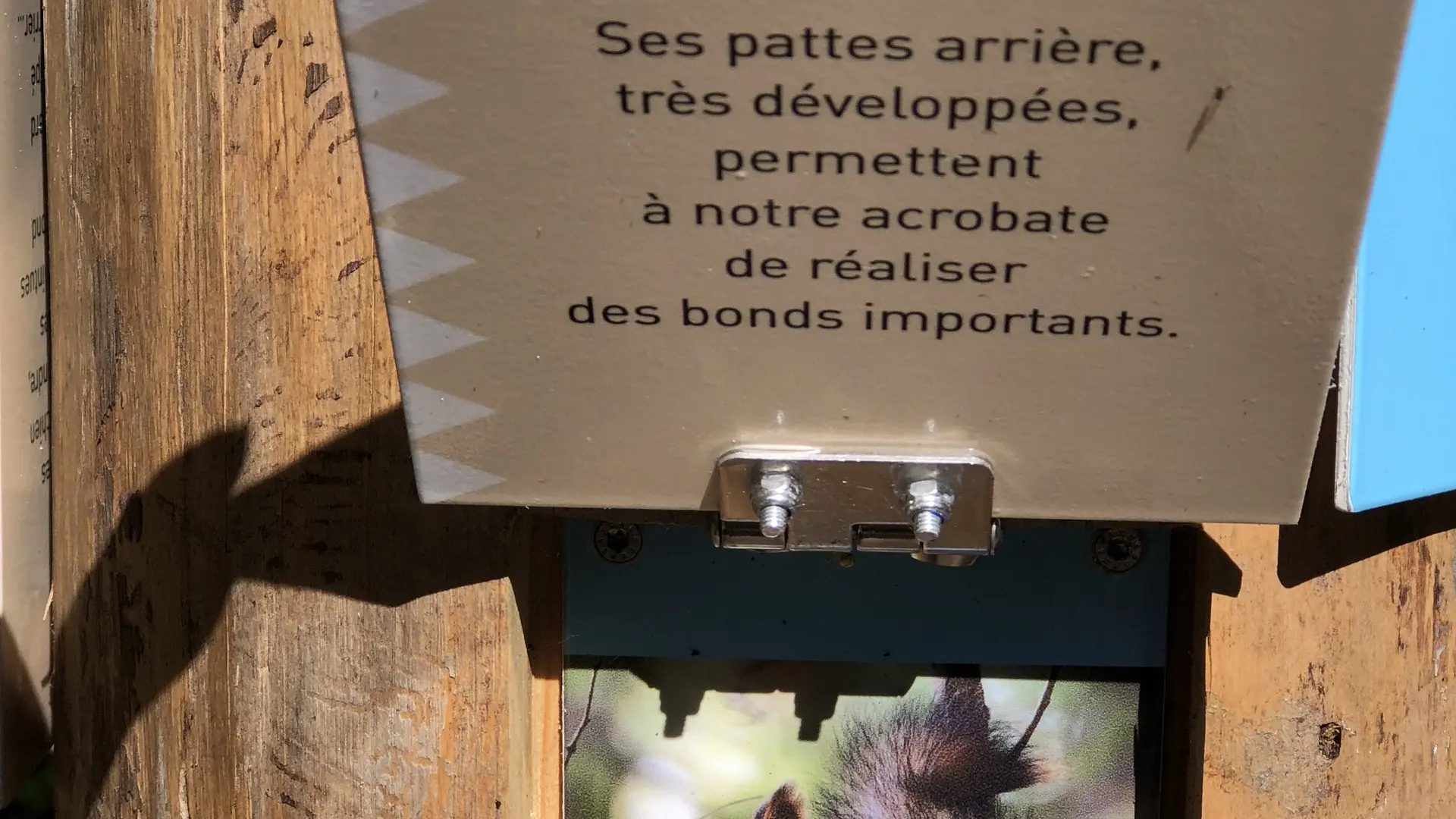 Le sentier du renard
