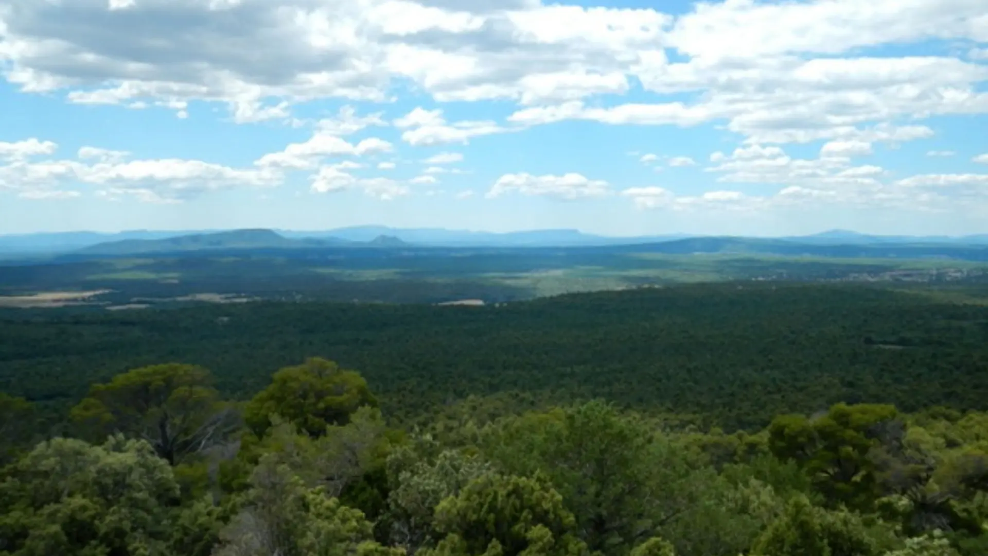 Vue sur les collines du haut Var