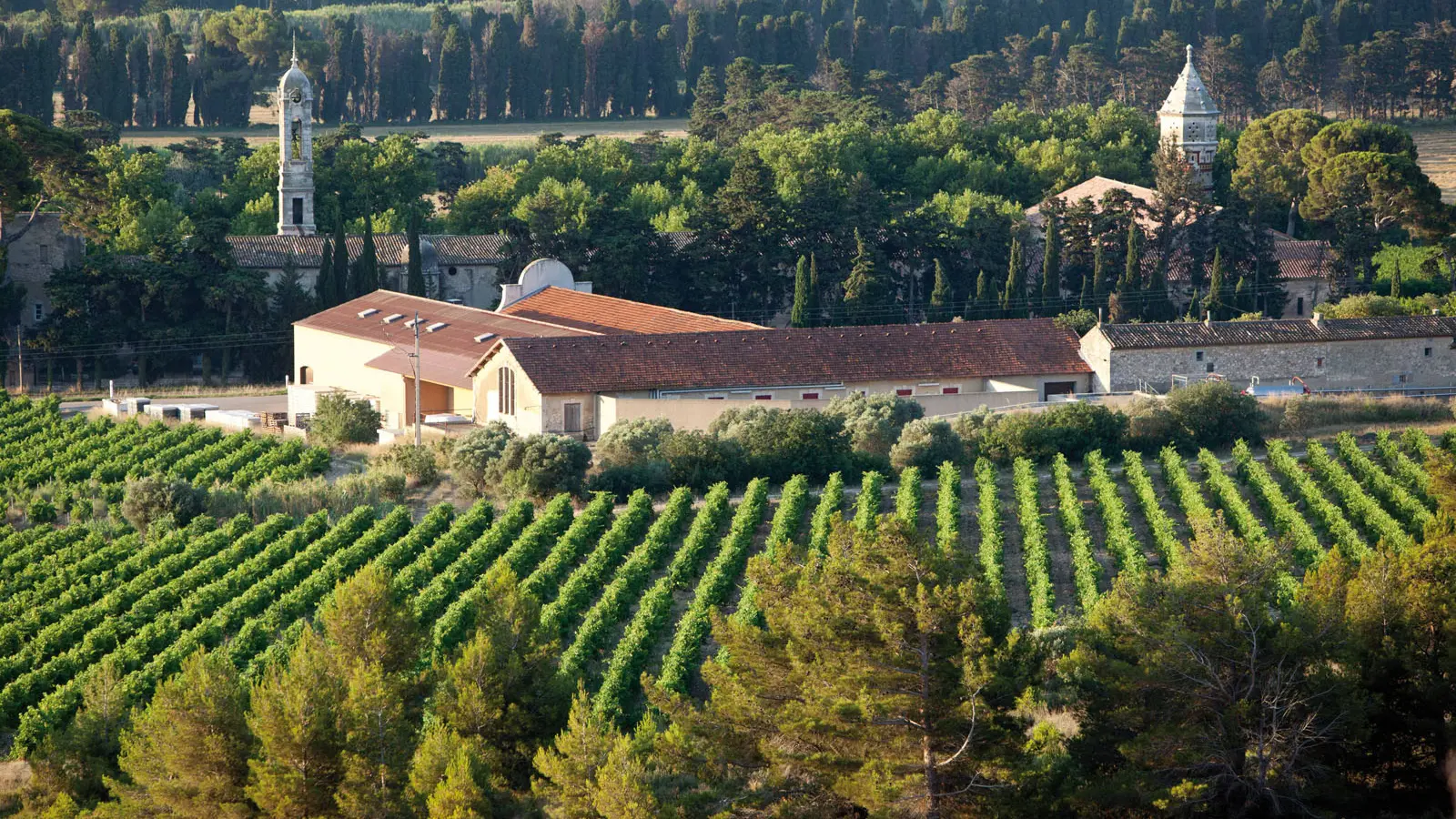 Vignoble et domaine