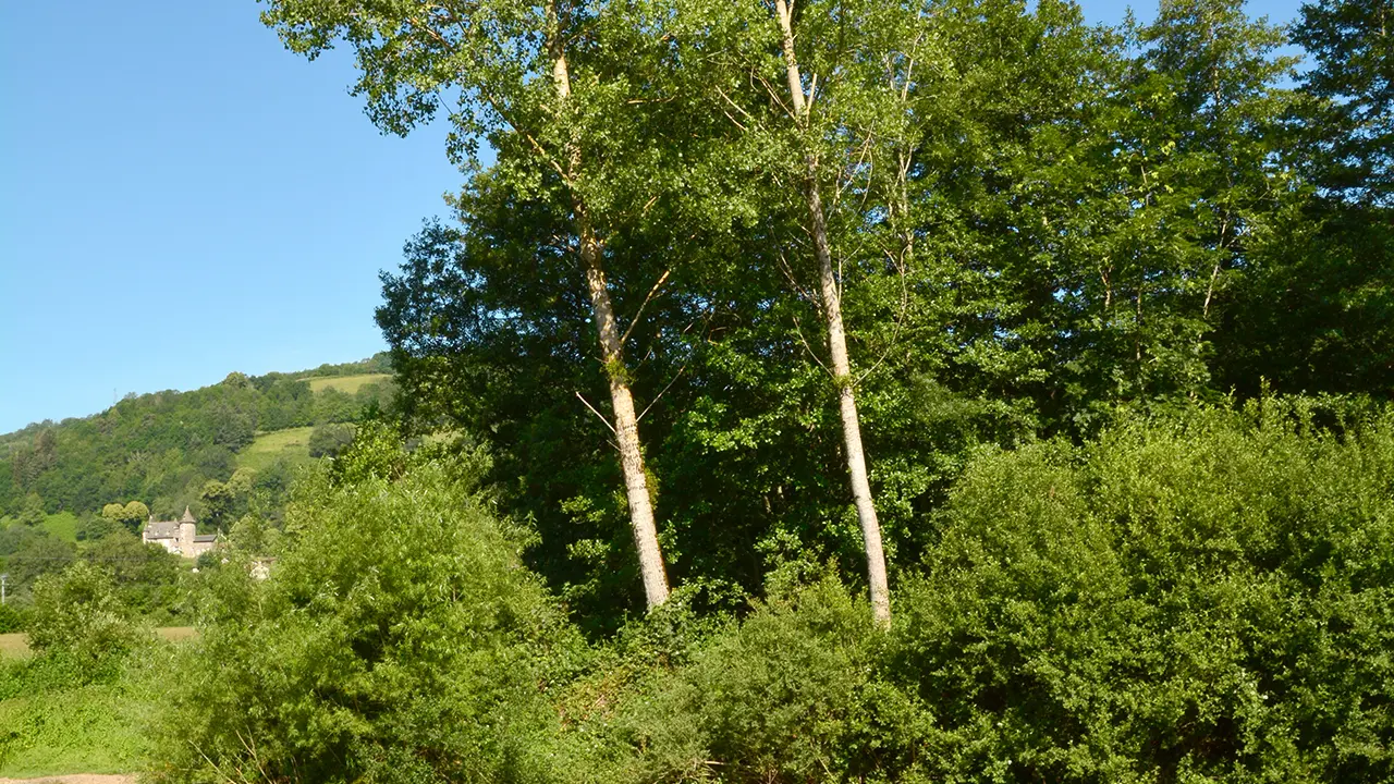 La rivière la Jordanne