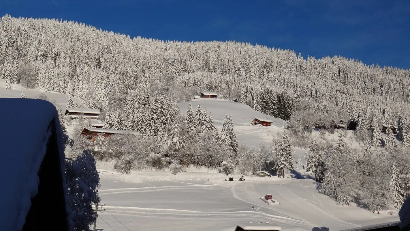 Depuis la cuisine,  vue sur le Mont Chéry