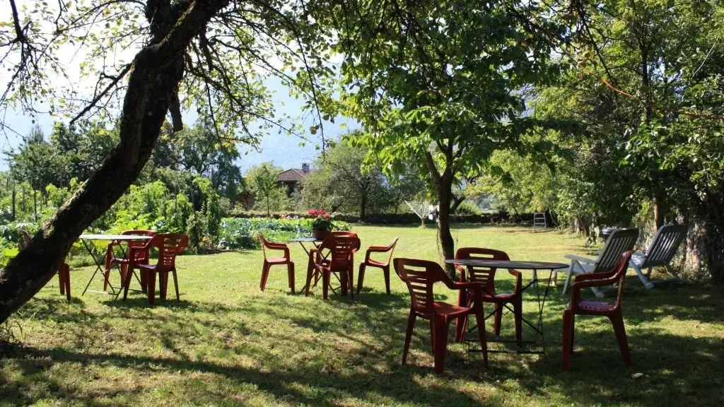 Le parc et ses arbres fruitiers