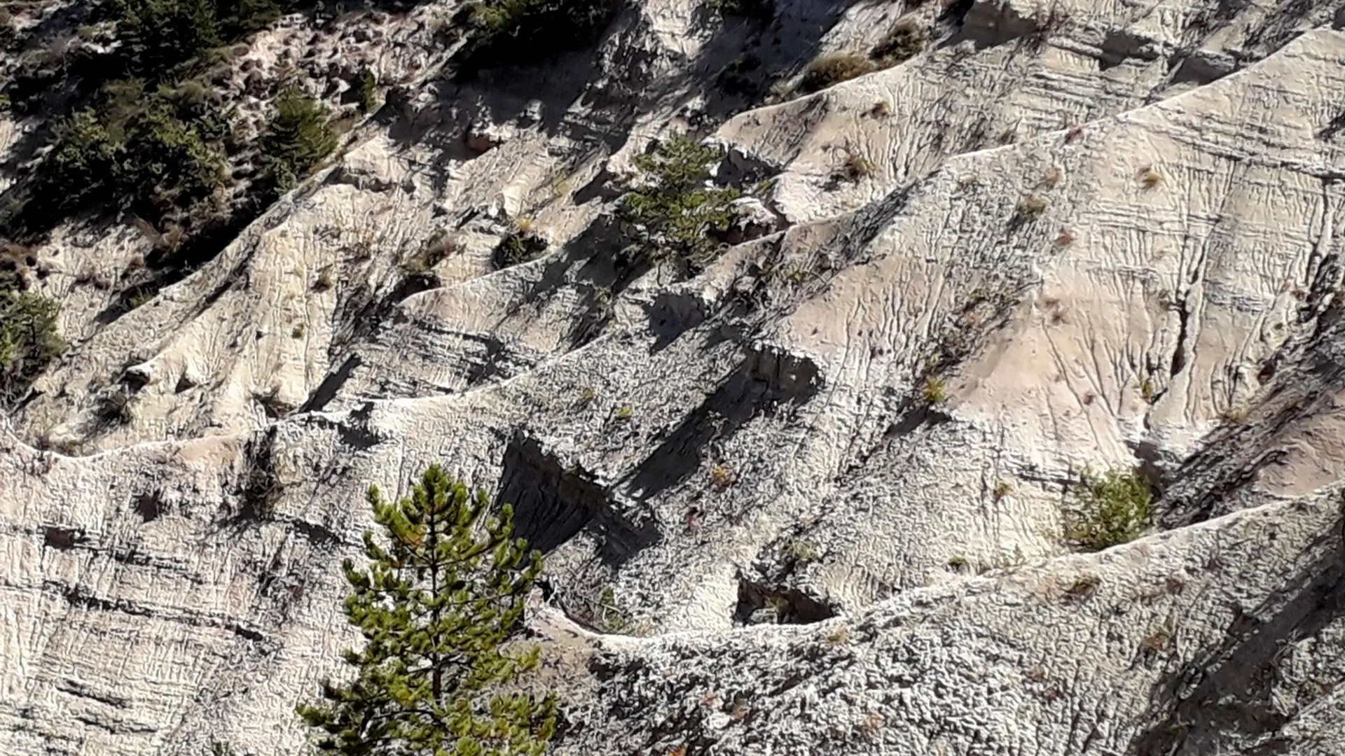 Argiles blanches sableuses