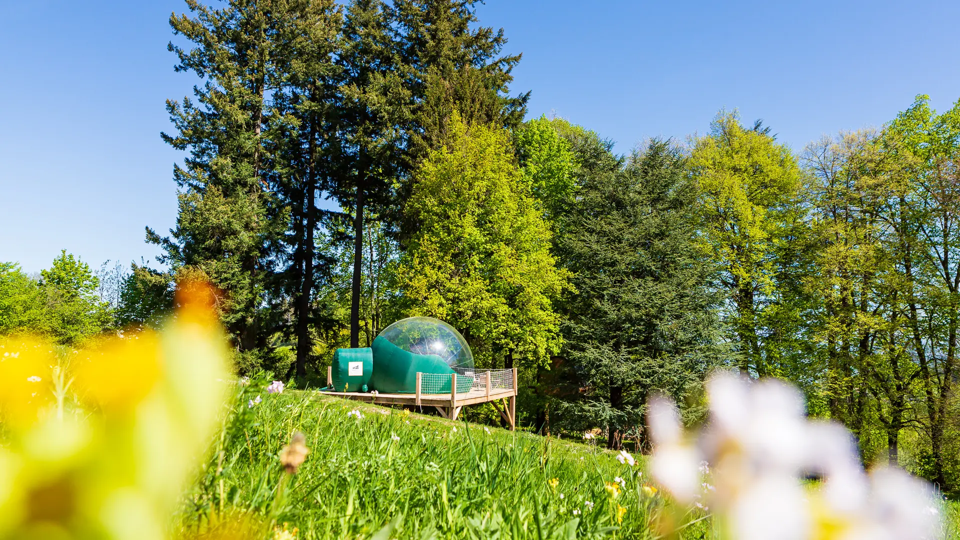La bulle dans le domaine