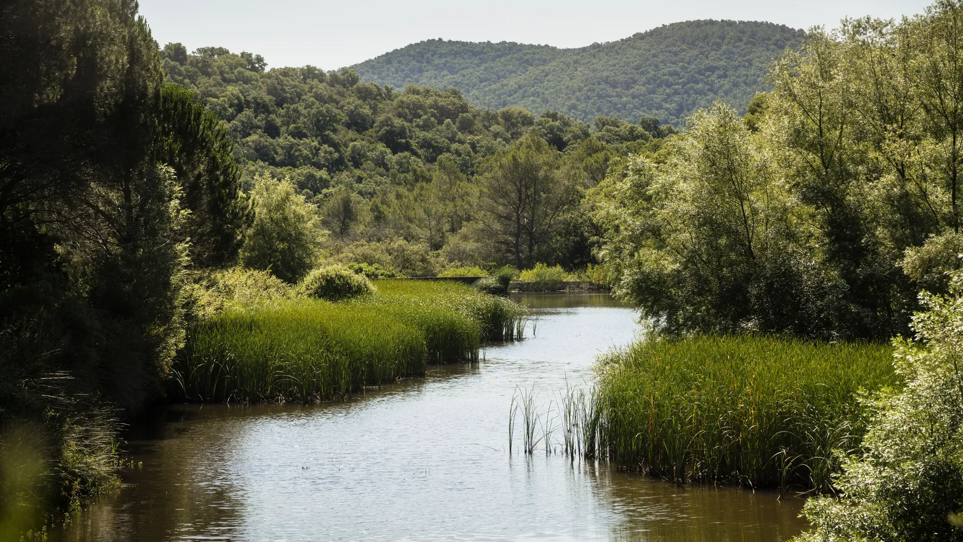 Lac Château Pas du Cerf