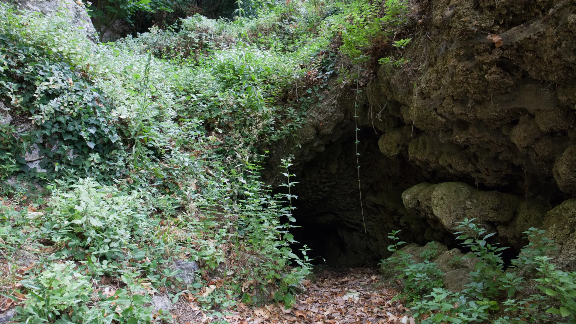 Source des Orris - La Roquebrussanne