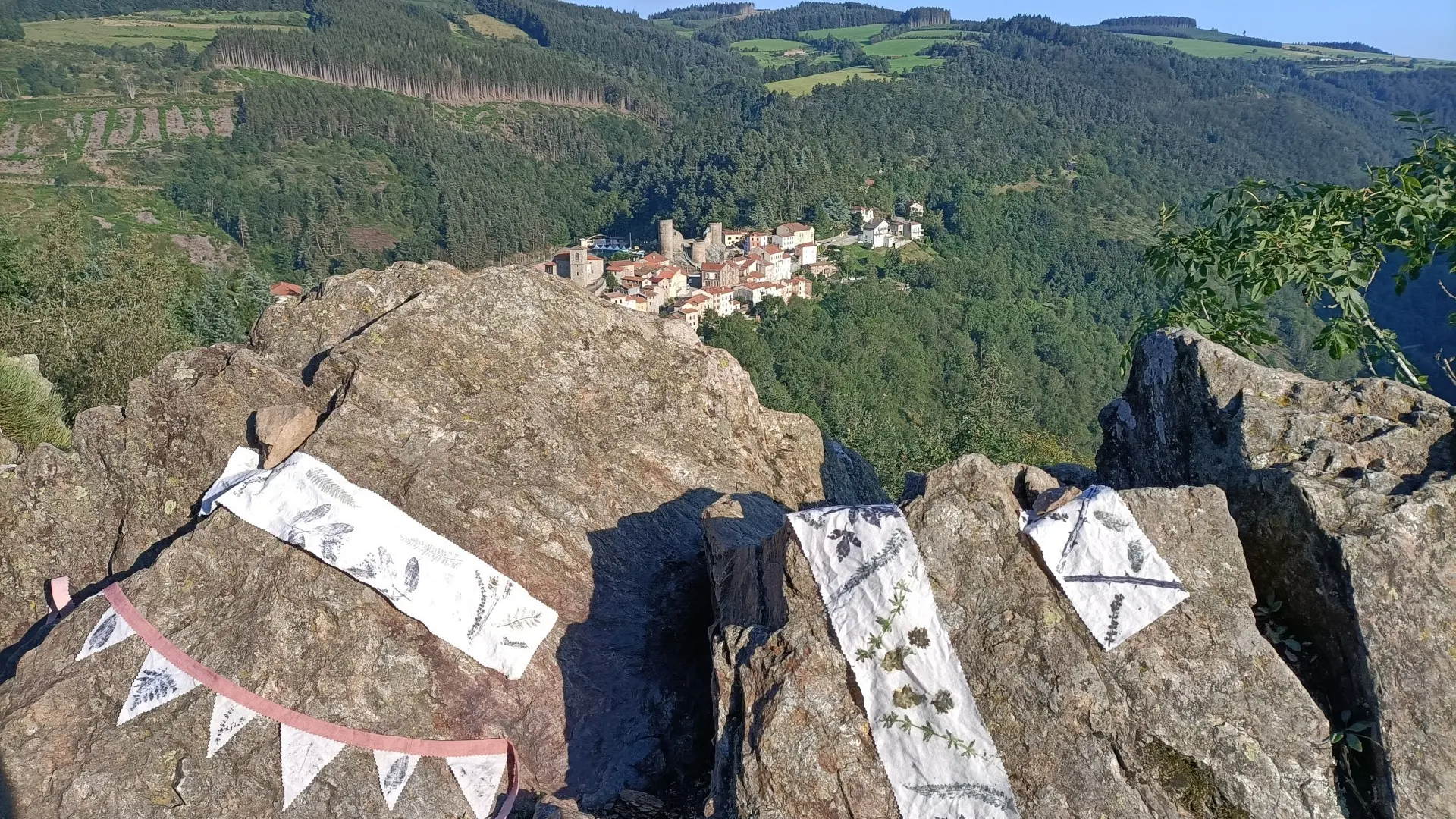 L'empreinte des vagabondes, balade-atelier d'impression végétale