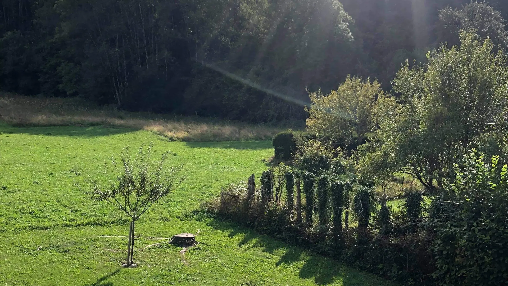 Vue du balcon