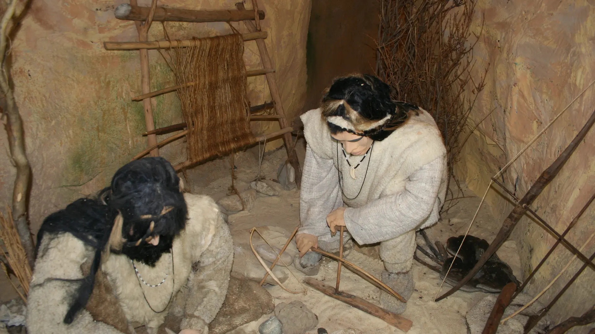 Détail exposition - Musée de pays - Archéologie et Paléontologie