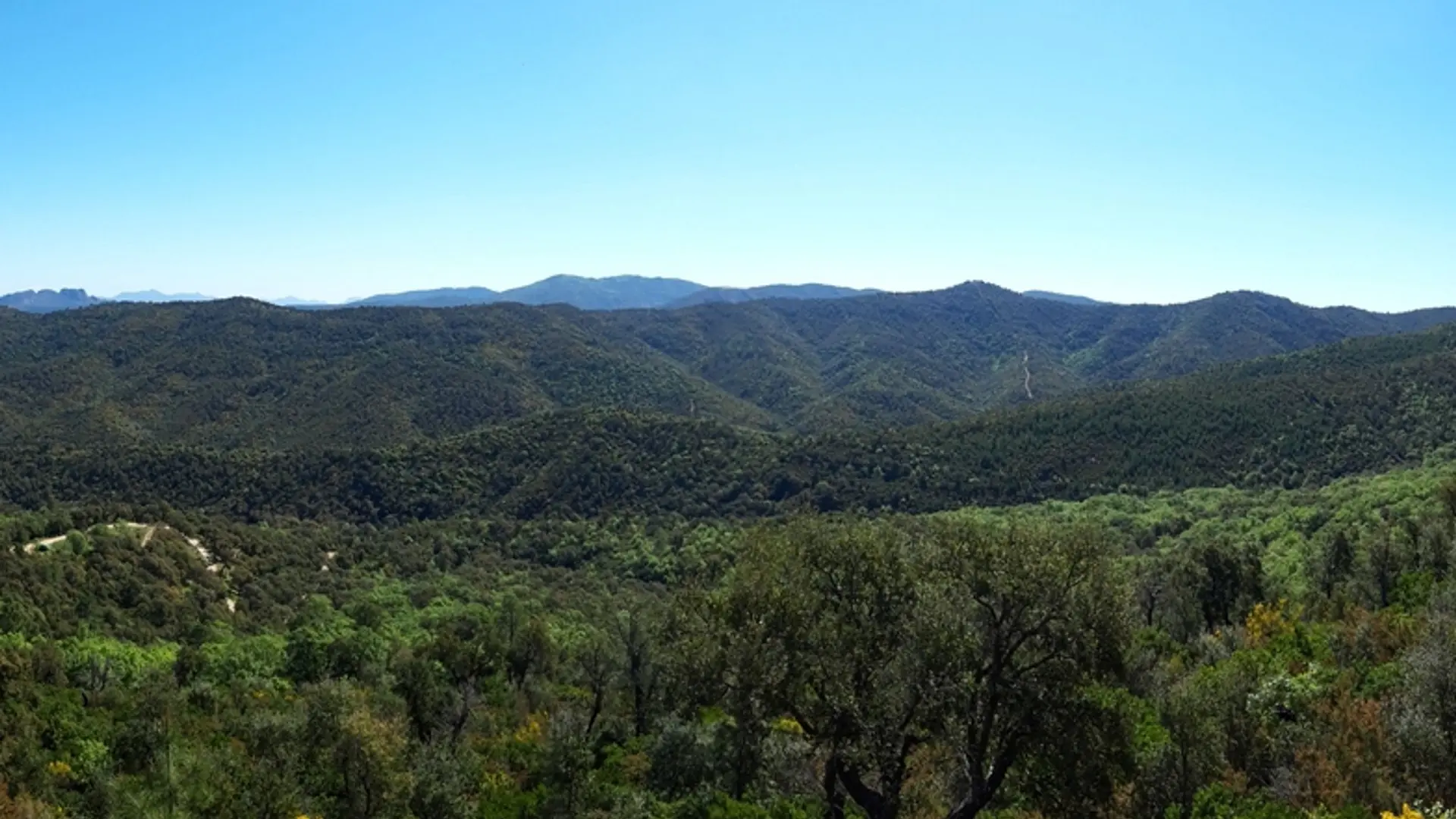 Panorama sur les différentes collines arborées de la forêt des Arcs-sur-Argens