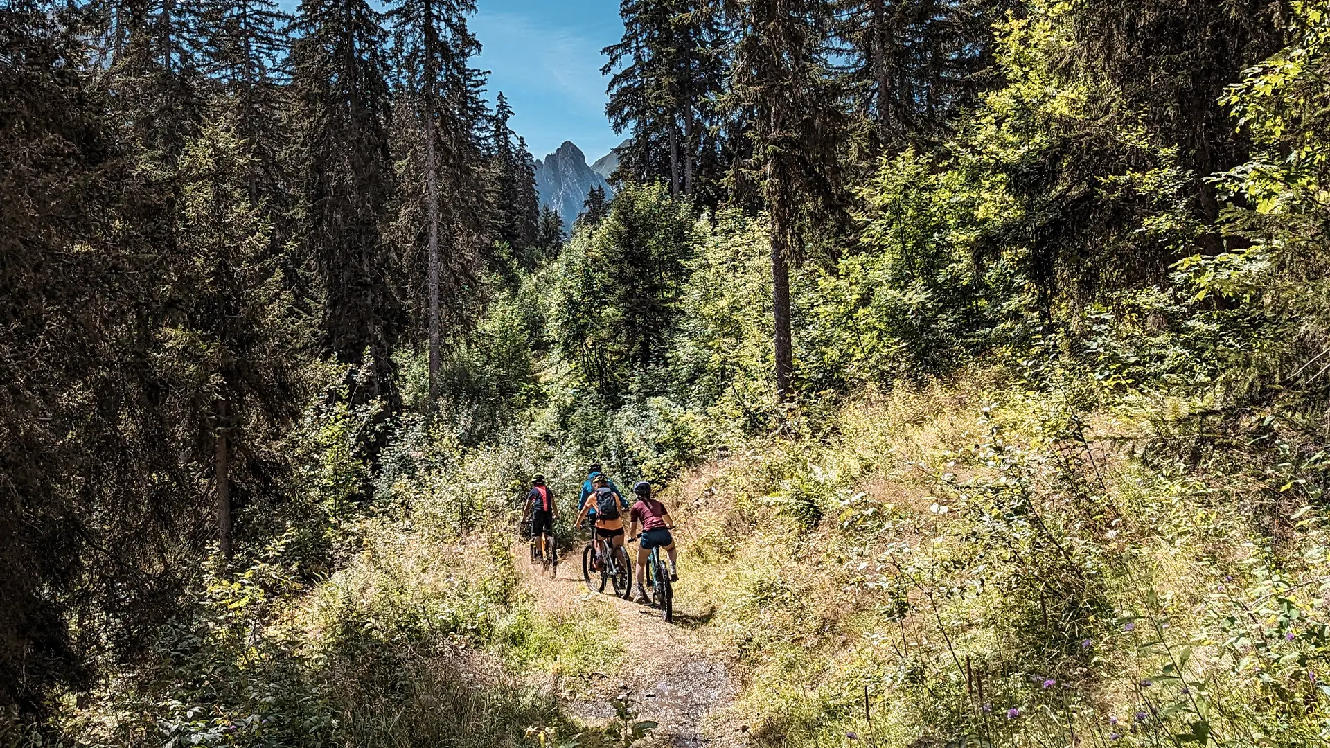 Piste verte descendante Aiglon_Manigod