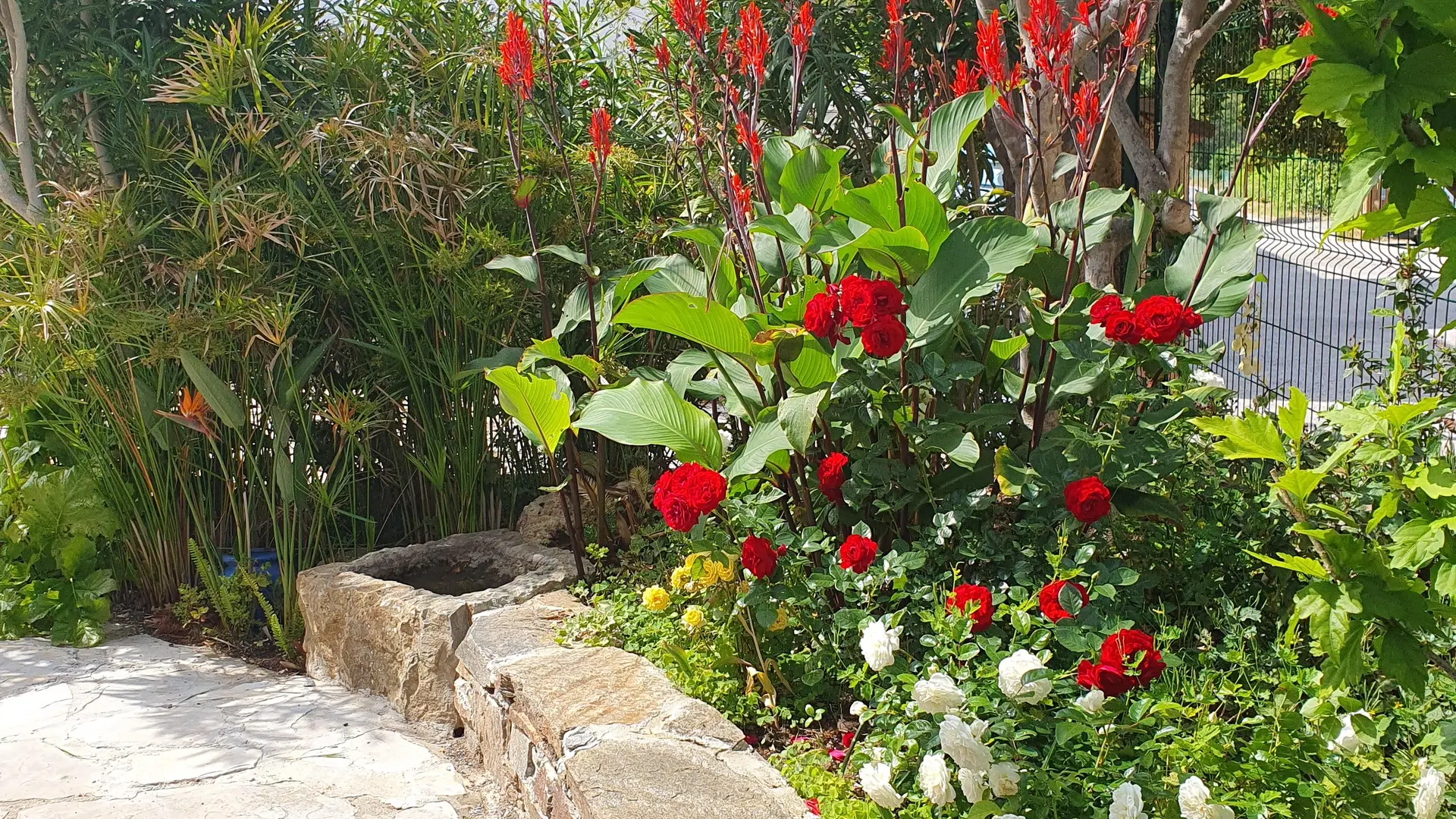 jardin côté voie verte