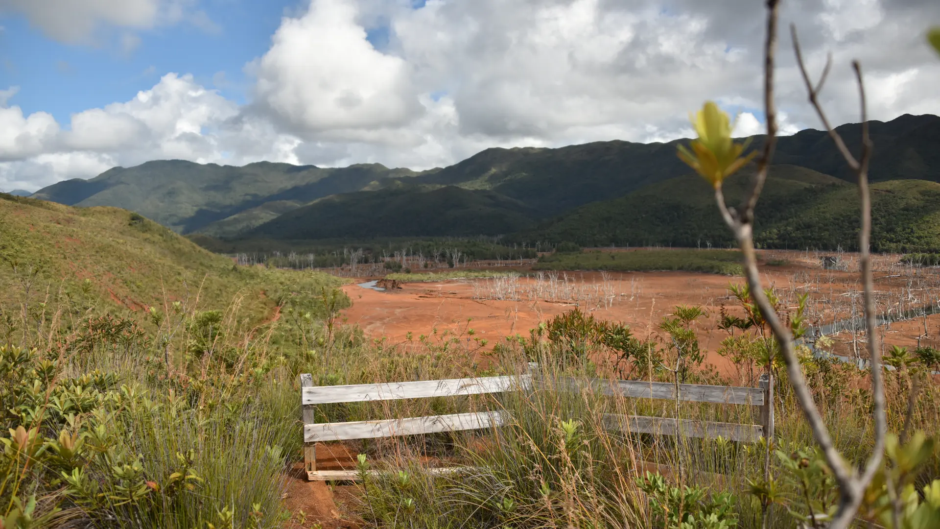 Site de la Forêt Noyée