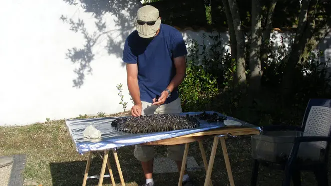 Activité en extérieur