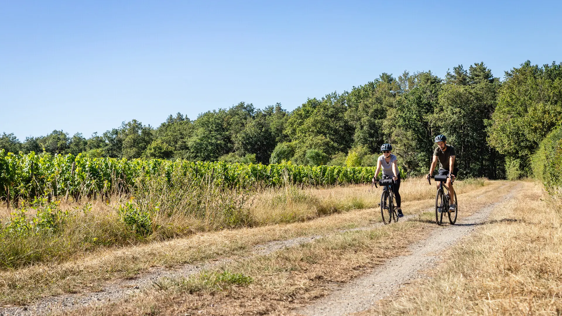 Cyclistes en Gravel au cœur du vignoble