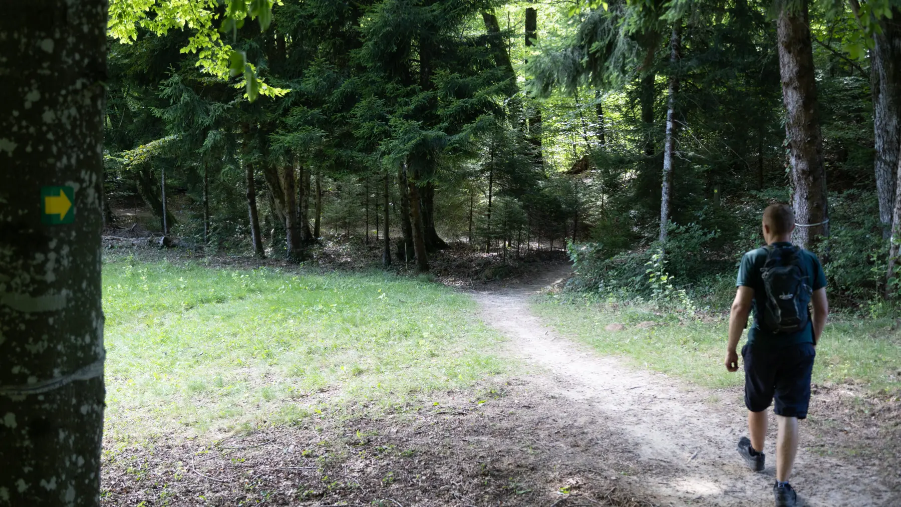 Sentier Combe à la Biche