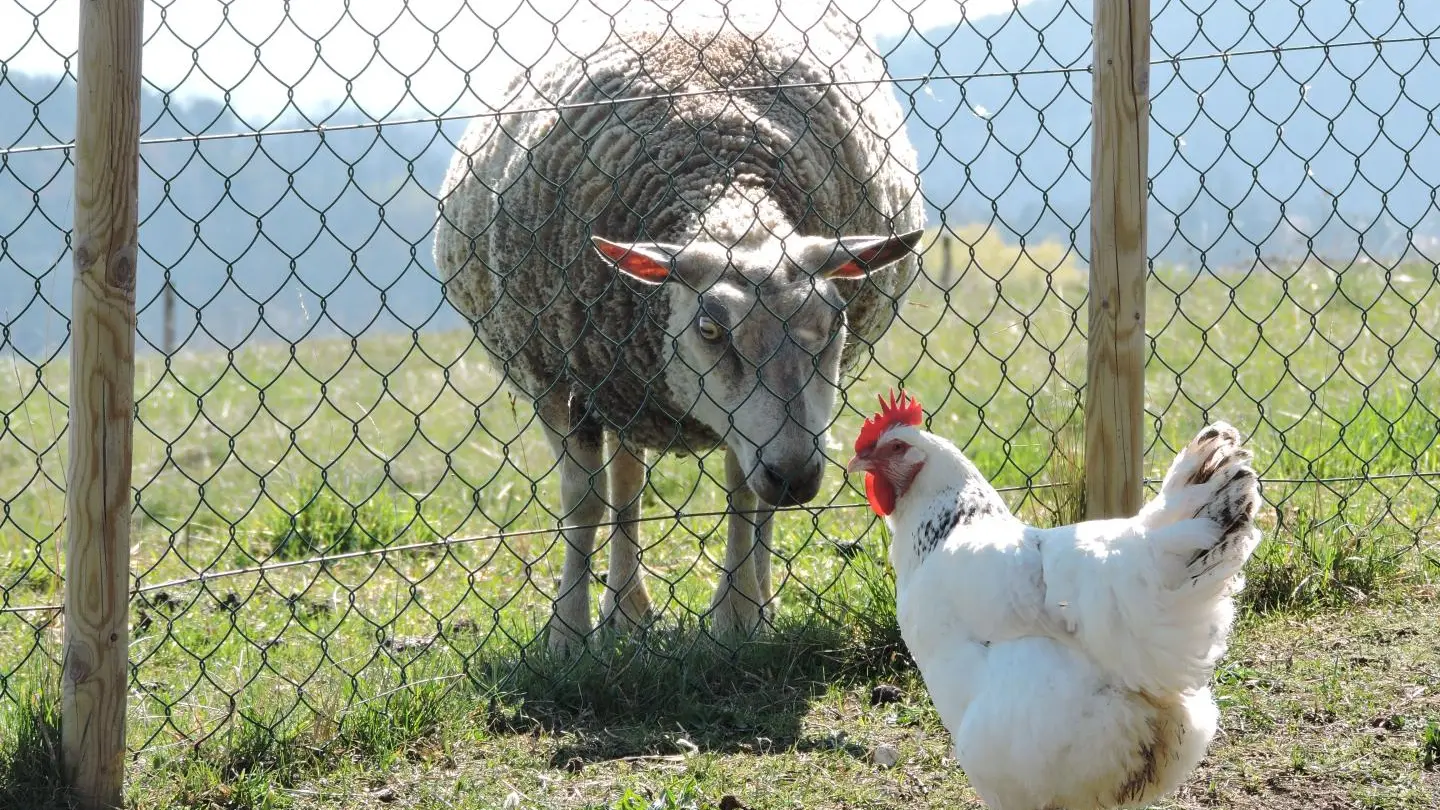 Rencontre insolite