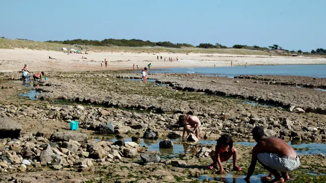 Pêche à pieds à la plage de Montamer