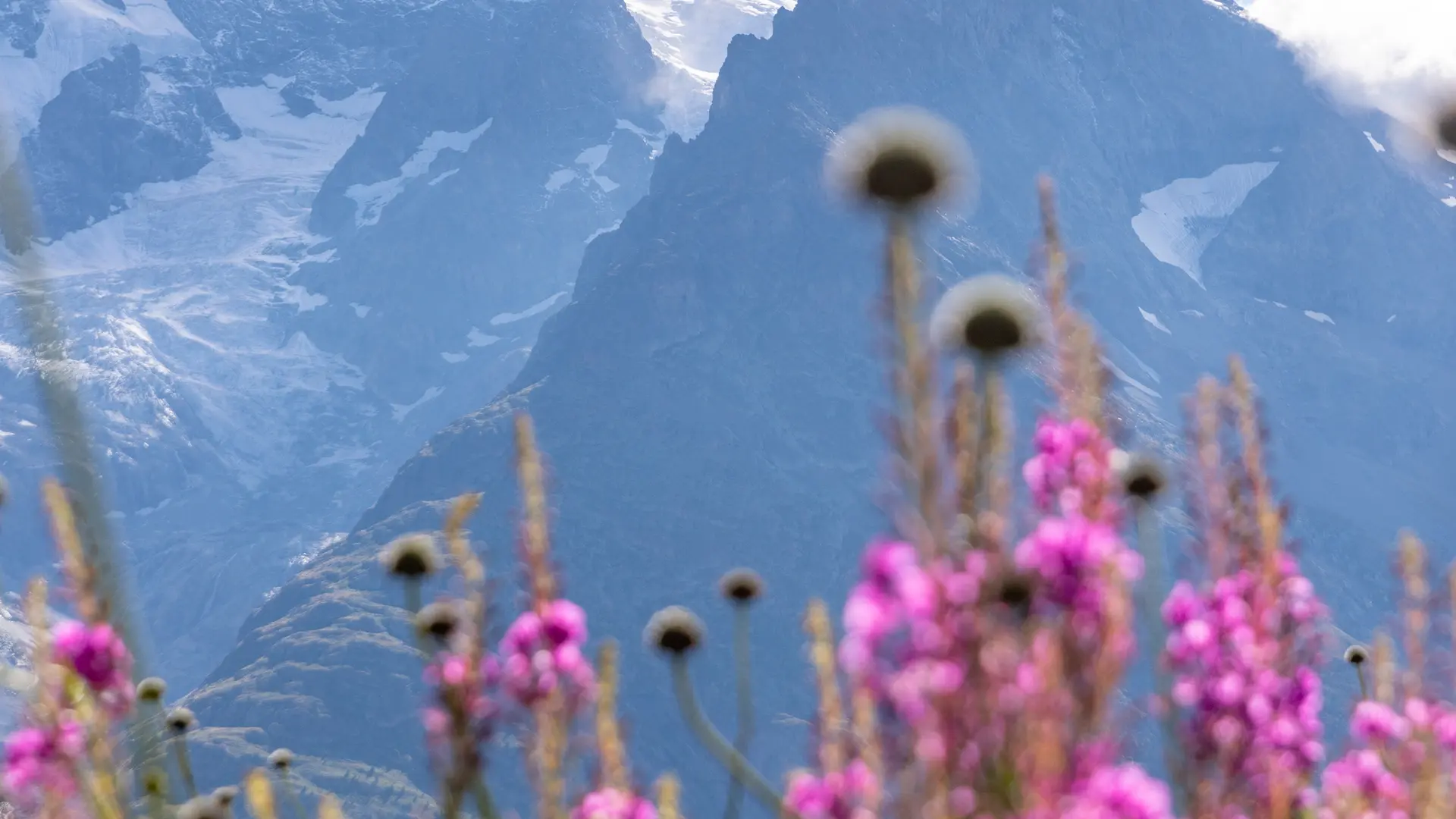 Le GR54 de La Grave à Arsine_La Grave