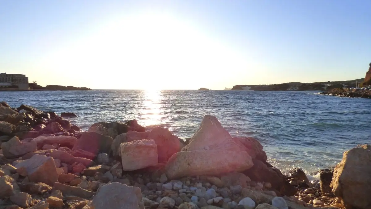 Dog Beach Bandol