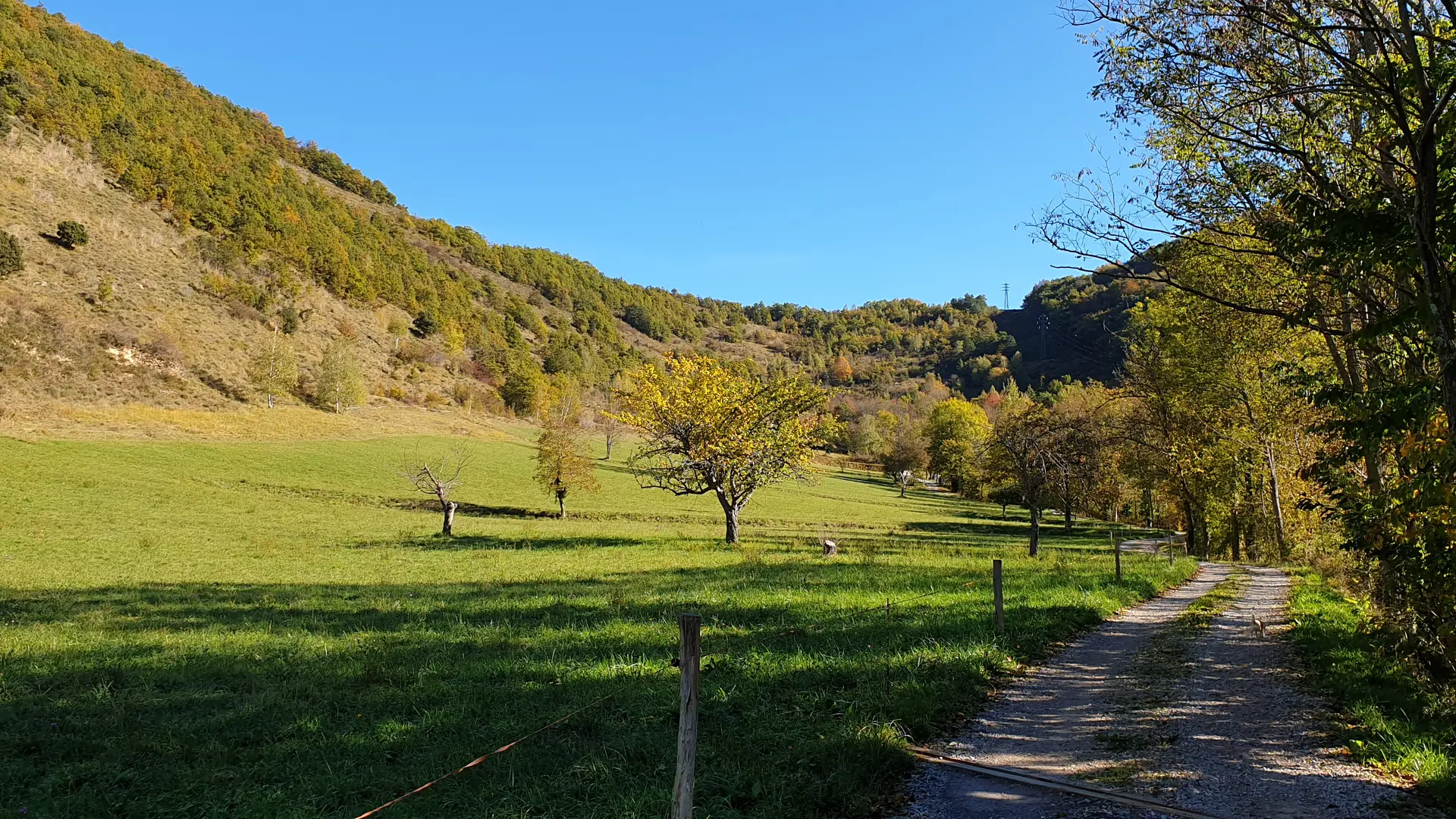 Chemin et petit vallon