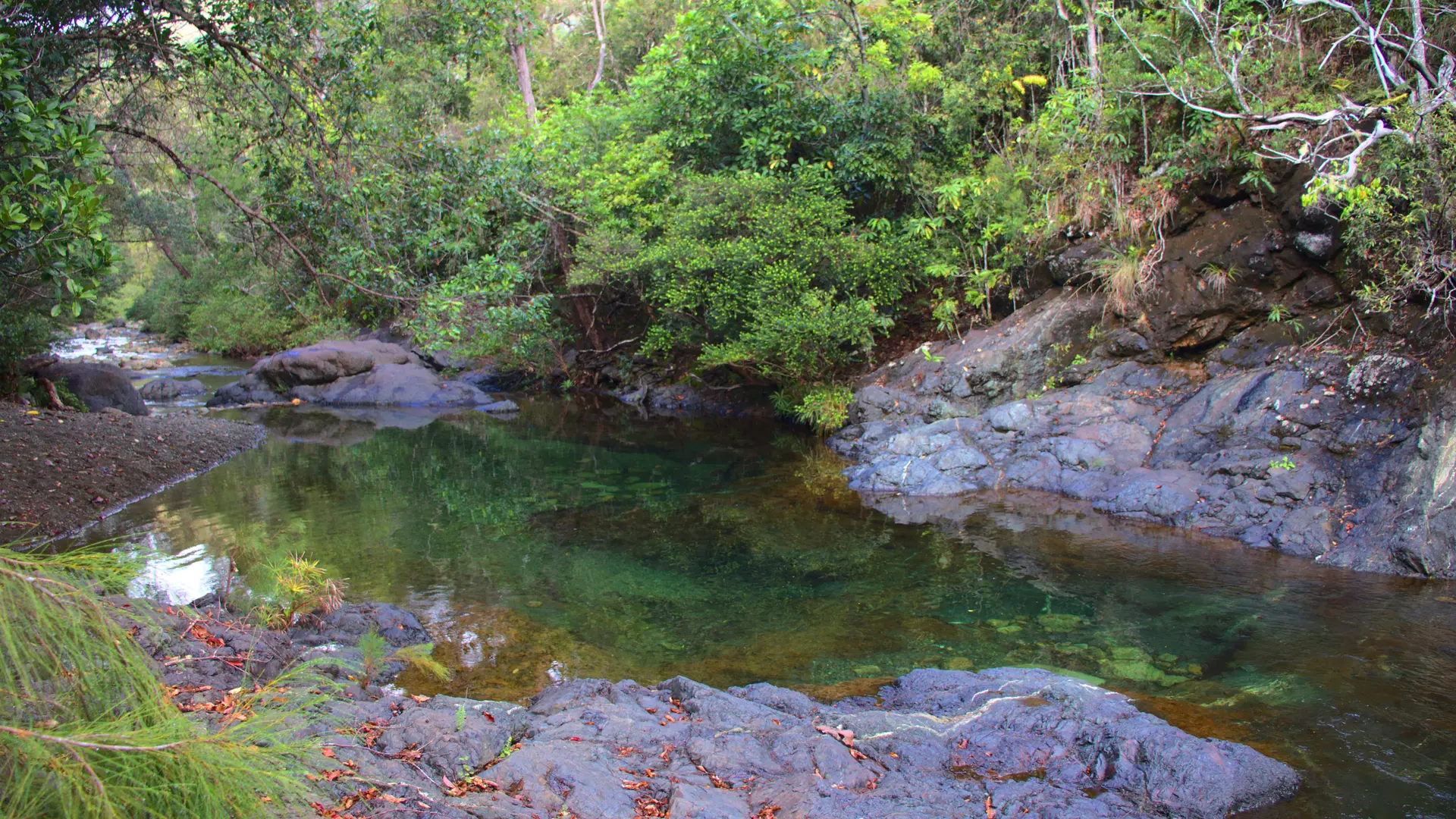 creekn gîte porin néa, poya, reine