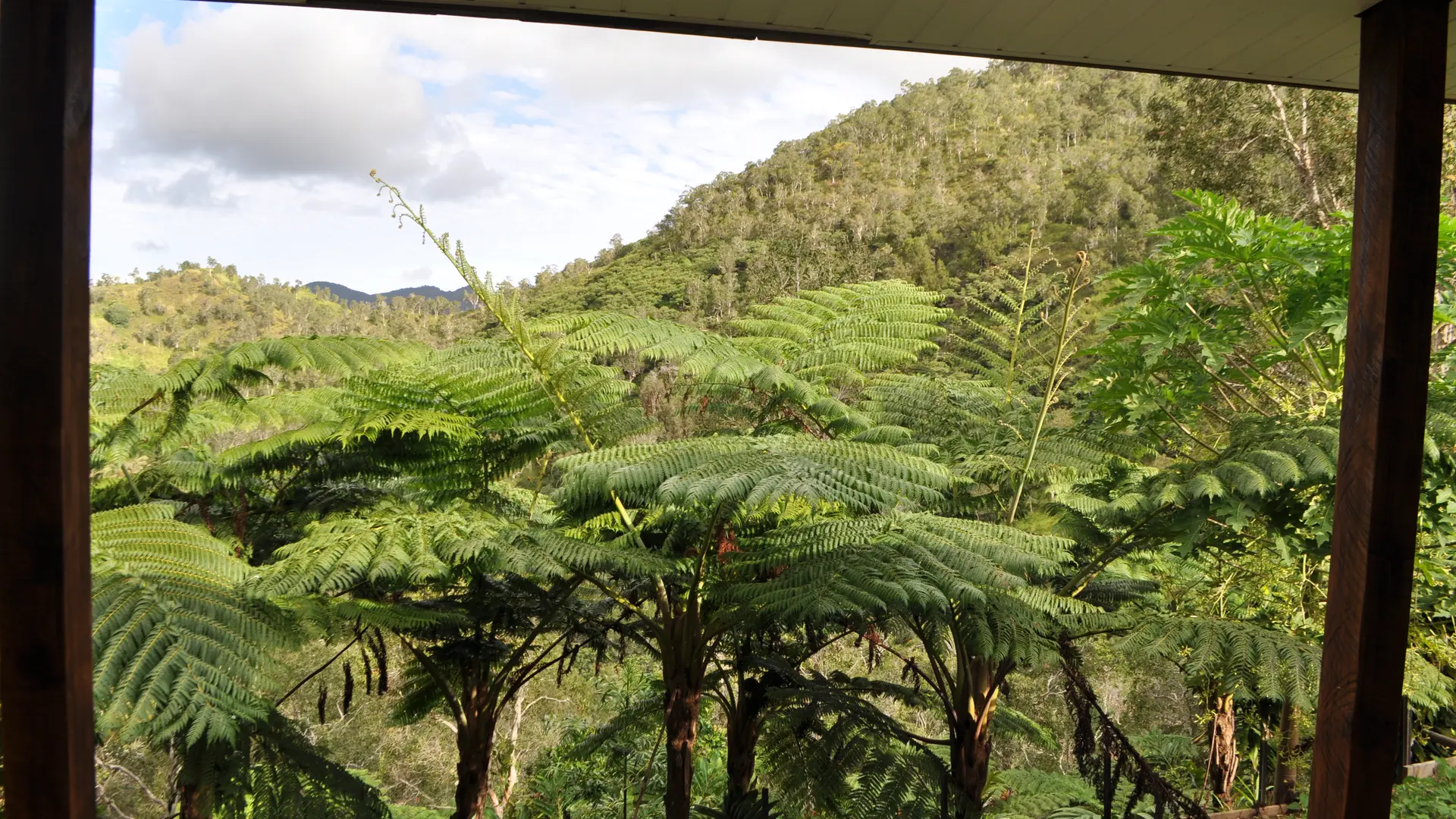 Vue depuis la chambre