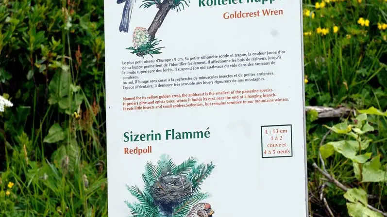 Sentier des oiseaux Châtel