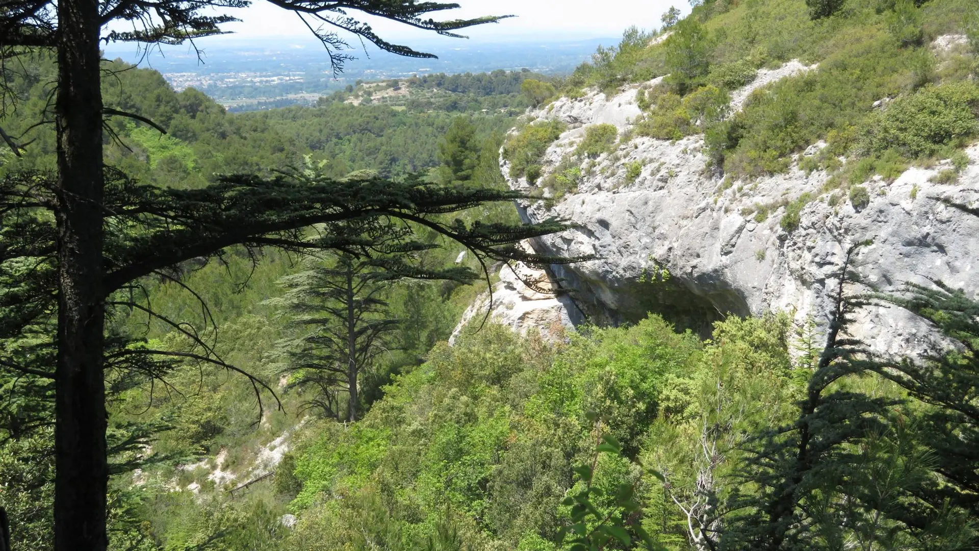 Vallon des Esperacons
