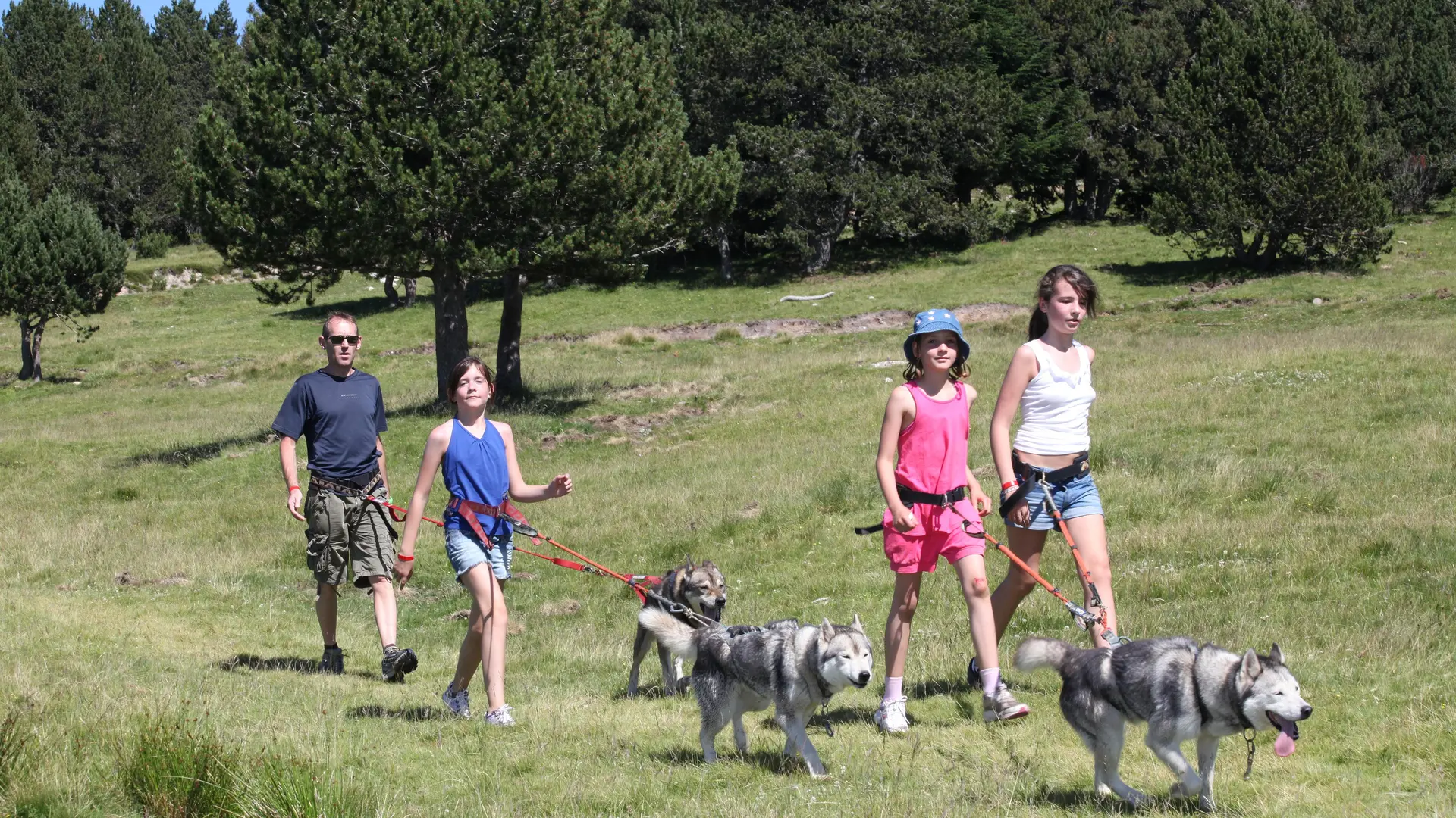 famille en activité cani marche