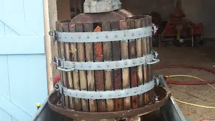 Domaine des Hautes_Bandol