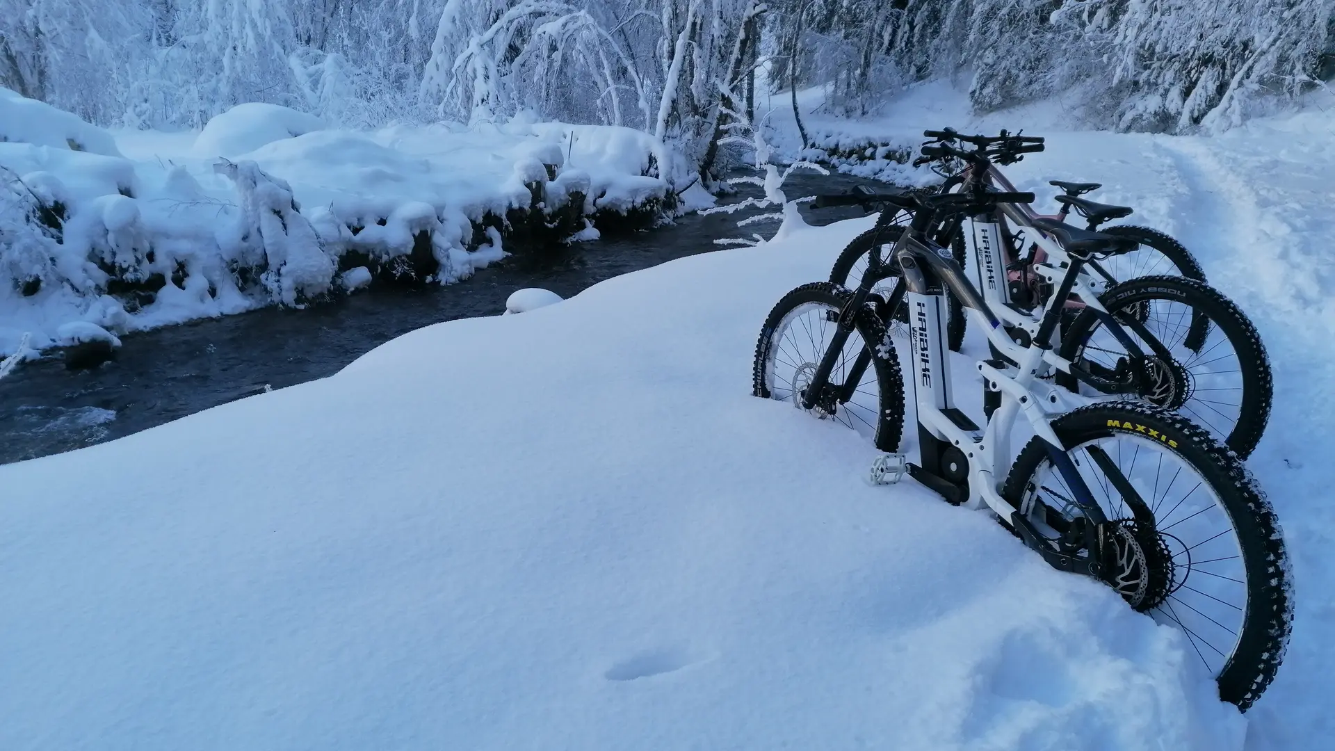 E-VTT avec Vélo Dranse à Abondance